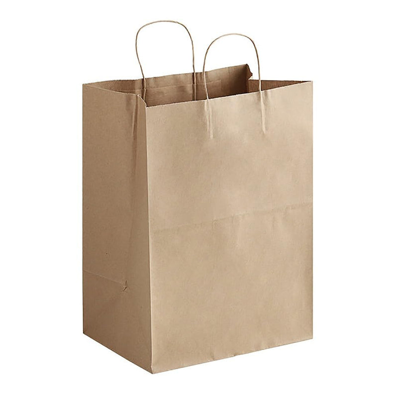 Medium Paper Shopping Bag 200/Cs