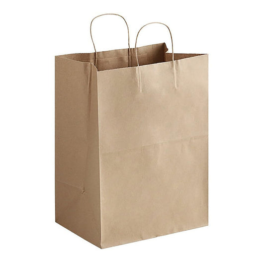 Medium Paper Shopping Bag 200/Cs