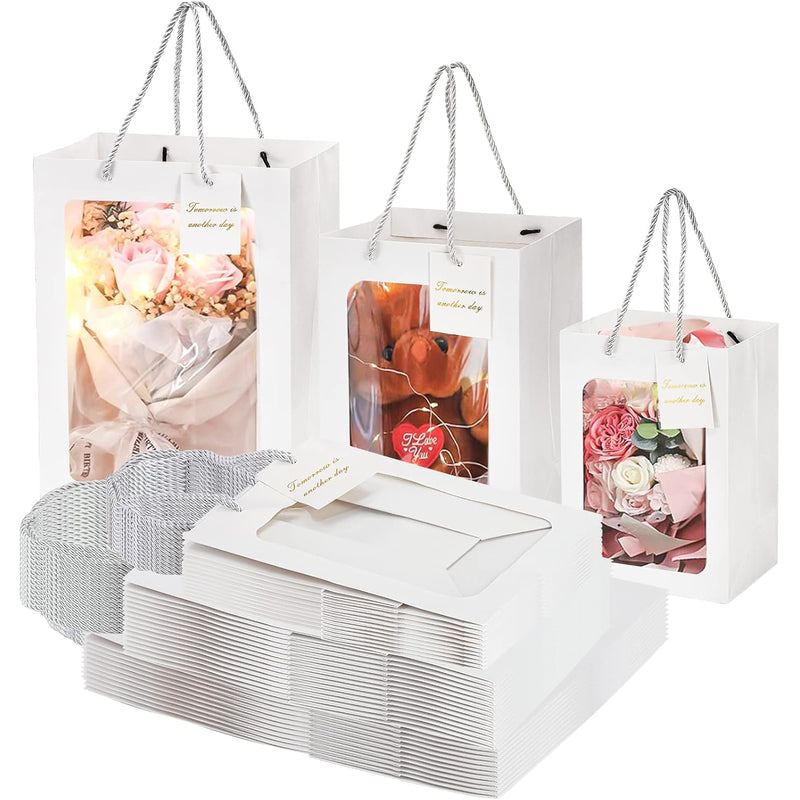 XSmall Polygram Gift Bag 288/cs