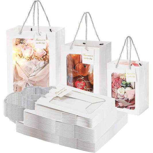 XSmall Polygram Gift Bag 288/cs