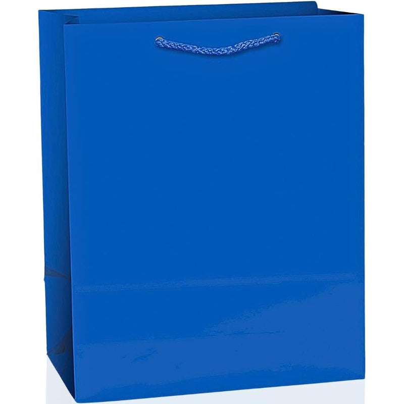Medium Polygram Gift Bag 144/cs