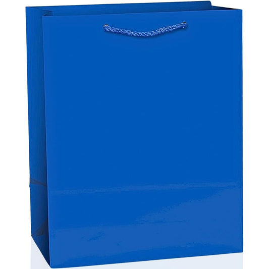 Medium Polygram Gift Bag 144/cs