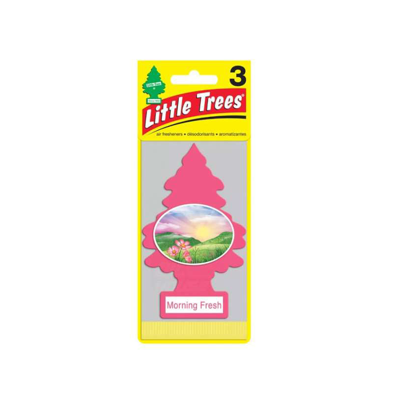 Car Air Freshener-Morning Fresh 24/cs