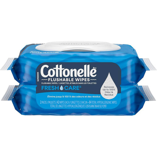 Personal Care Flushable Wipe 42ct; 12/cs