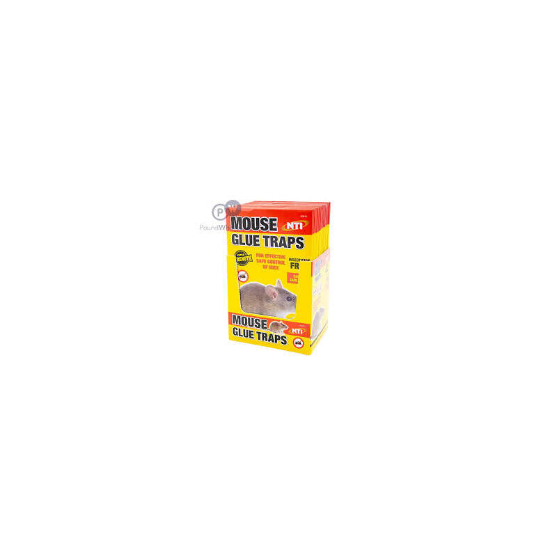 K&G Glue Mice Trap Jumbo Size 72/cs