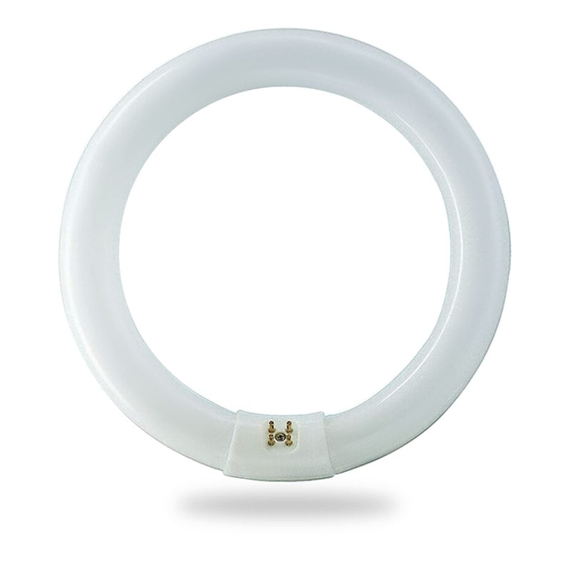 FC8T9/CW 22 Watt Day Light 12/cs