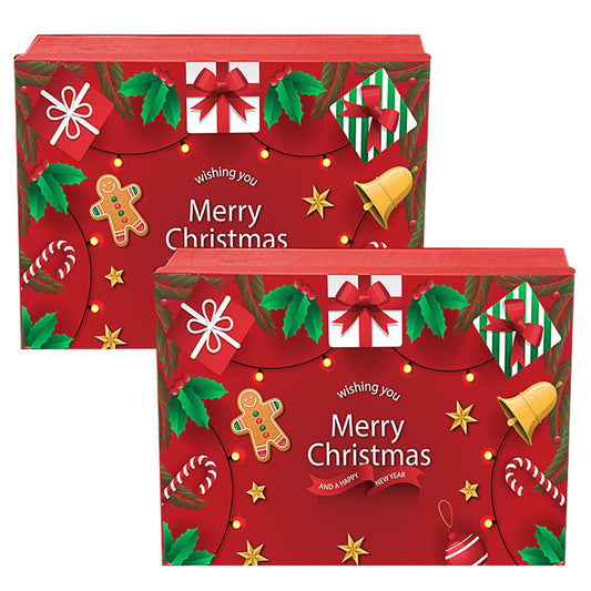 2pc Xmas Gift Box-Large 60/cs