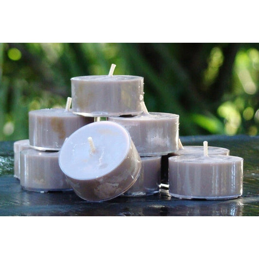 House Care Tea-Lights Candle 10pk - Angel Orchid 12/cs